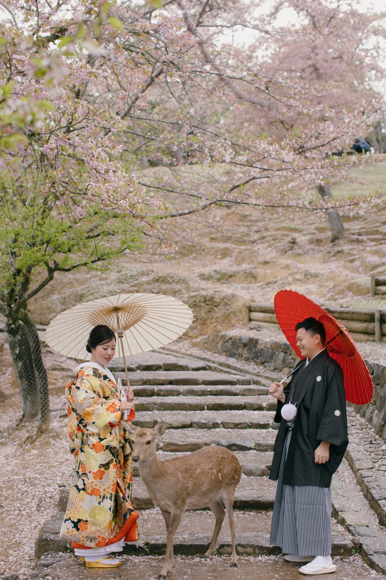 奈良公園21