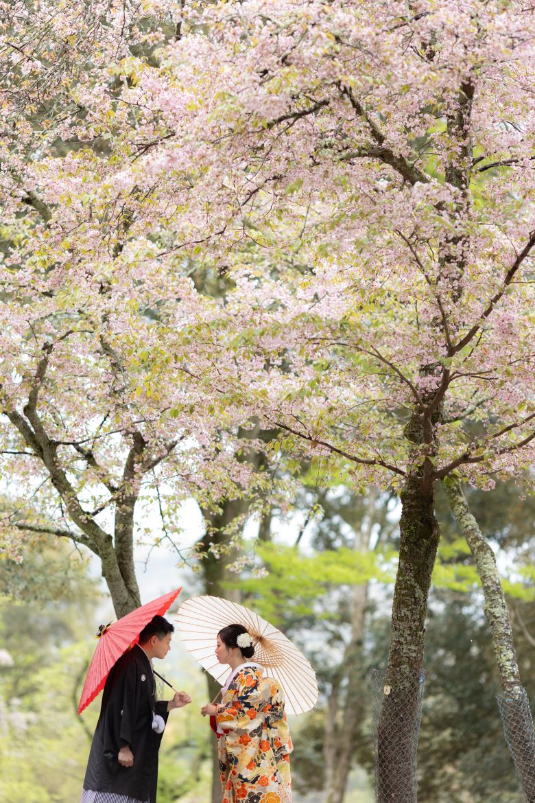 奈良公園22
